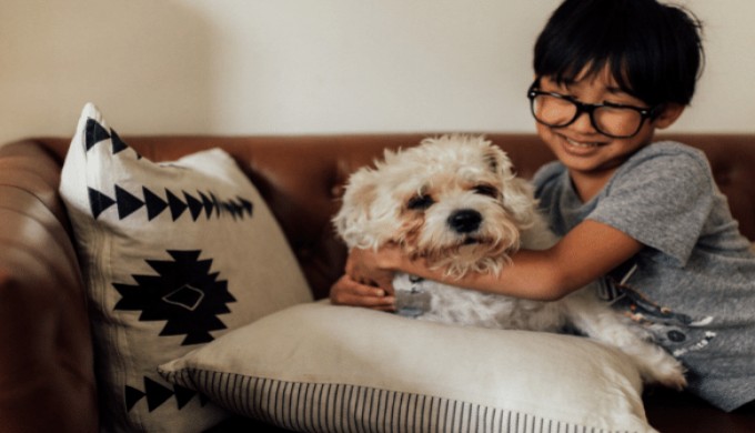 pets