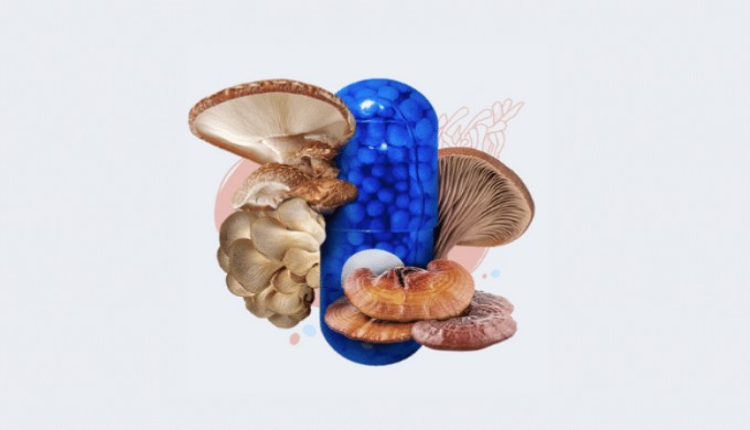 Mushroom Designs