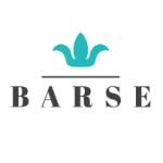 Barse Jewelry