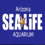 Sea Life