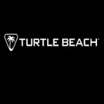 Turtle Beach