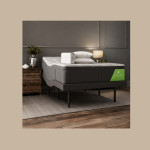 Bedding And Mattress