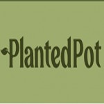 Planted Pot