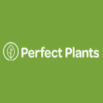 Perfect Plants