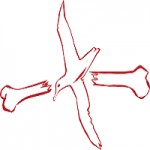 Albatross Designs