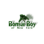 Bonsai Boy Of New York