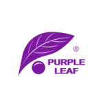 Purple Leaf CA
